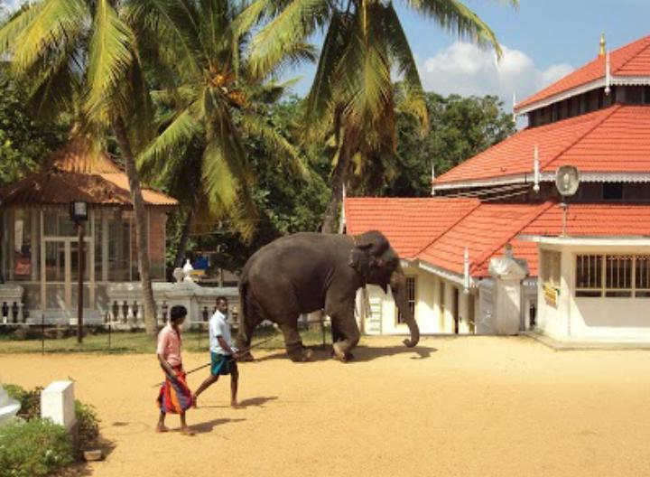 Mutu Villa Dikwella Ngoại thất bức ảnh